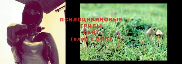 мдпв Богданович