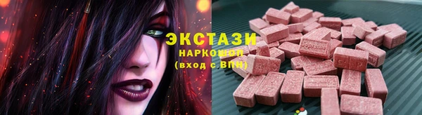 гидра Богородицк