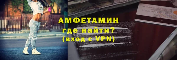 гидра Богородицк
