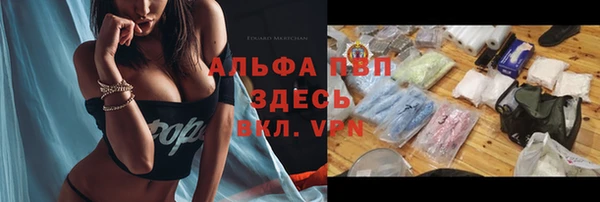 гидра Богородицк