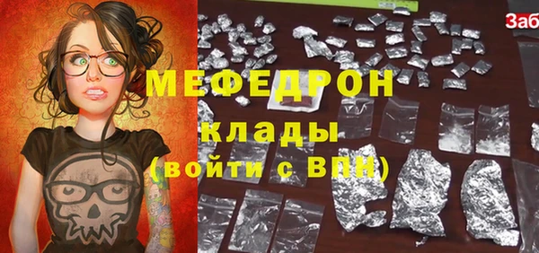 гидра Богородицк