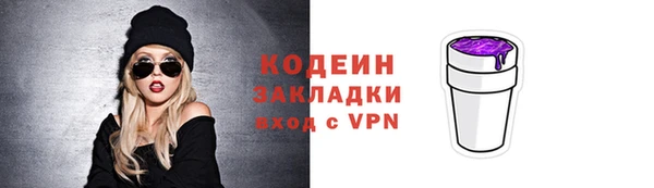 гидра Богородицк