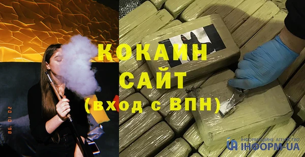 гидра Богородицк
