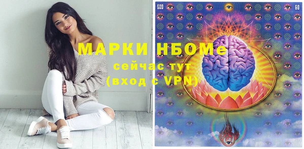 гидра Богородицк