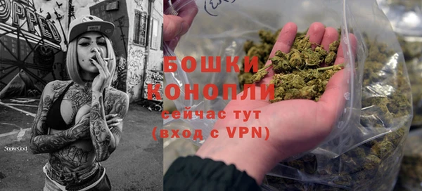 мдпв Богданович