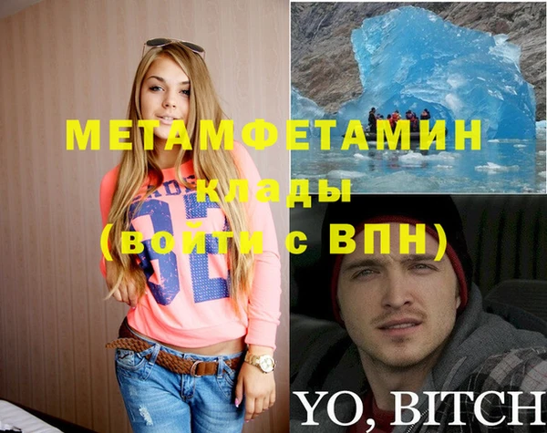 гидра Богородицк