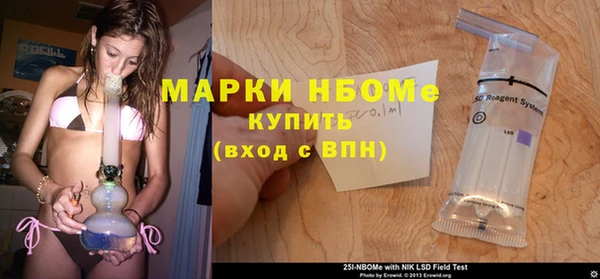 гидра Богородицк