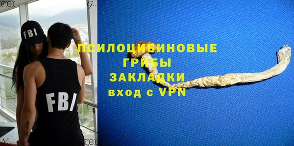 гидра Богородицк